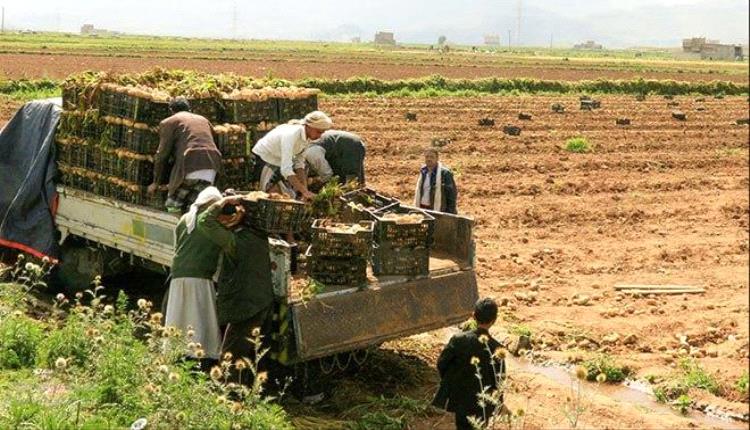 خبر هام من السعودية يسعد شريحة كبيرة من اليمنيين